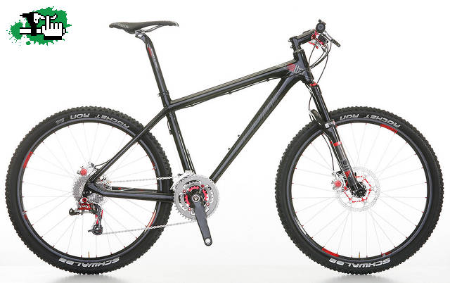 Scott 2010