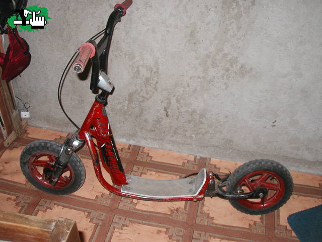 QUE LES PARECE ESTE