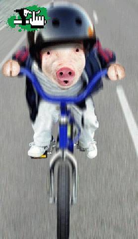 Porcina? Bici? naa.