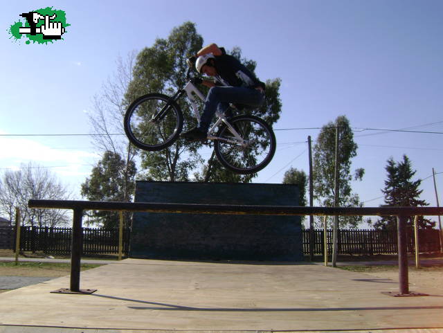 gonett