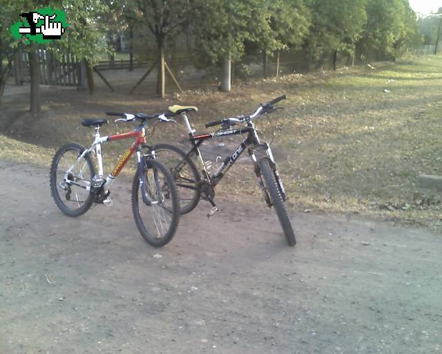 tarde de amigos