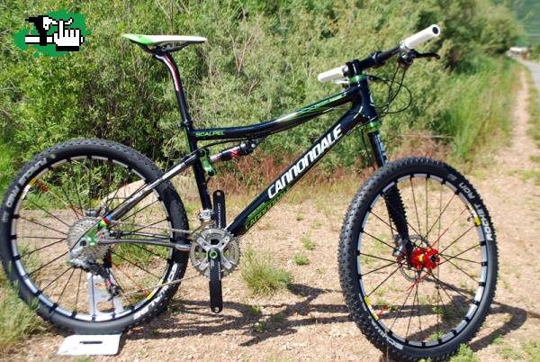 Cannondale 2010