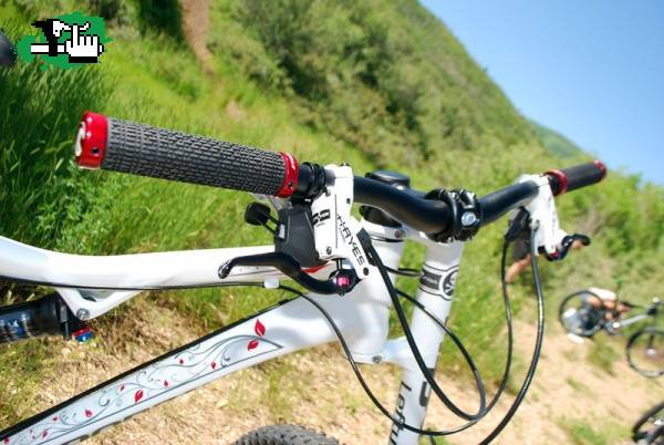 Cannondale 2010
