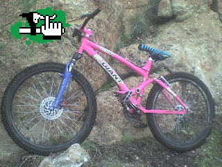 la bike pintada de majo....
