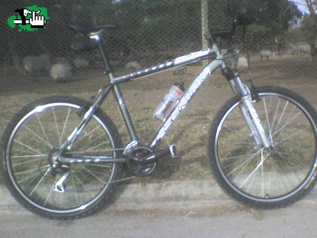 Sus primeros 85km