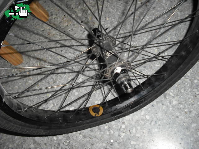 patitobmx