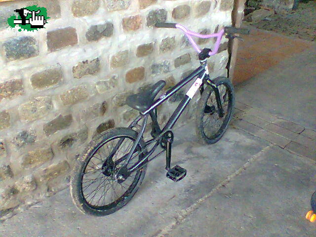 patoo_bmxisnotacrime