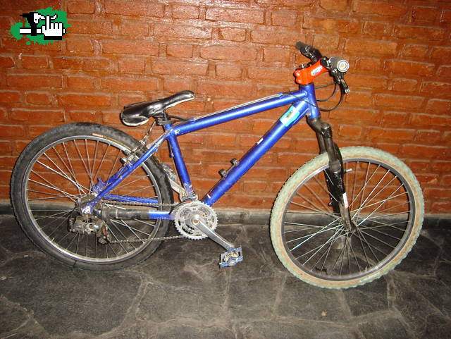 mi bici