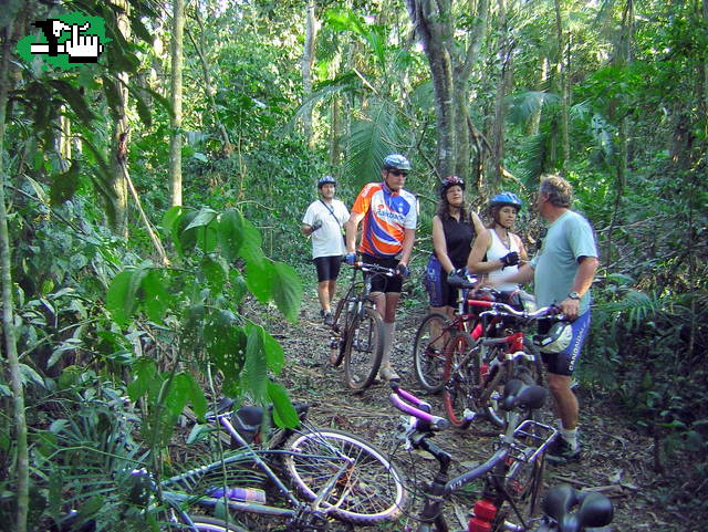 SELVA MISIONERA (San Ignacio - Wanda - Andresito - Parque Naciona y Cataratas del Iguazu)