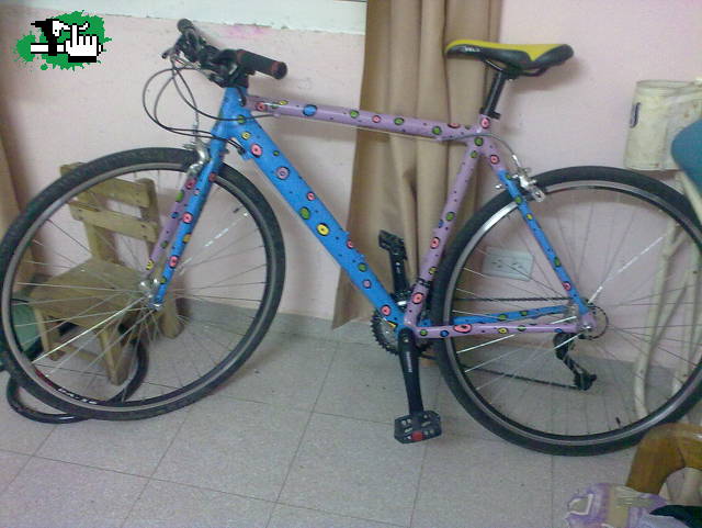 olmo r3