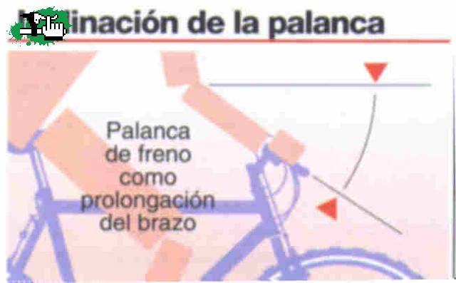 manual posicion 1ª