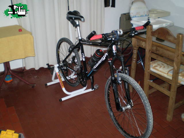 RALEIGH M80  