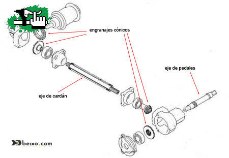 sistema cardan