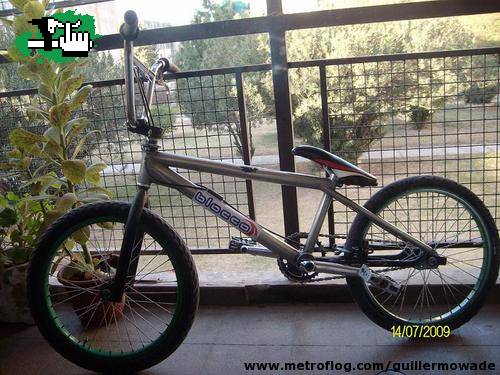 Hoffman Bike
