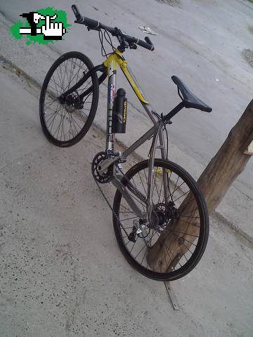 Mi scott