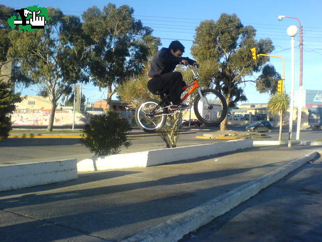 BUNNI HOP----