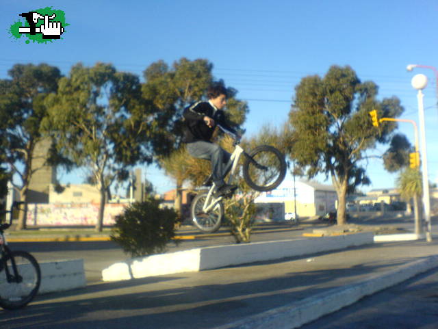MIGUE BUNNI HOP