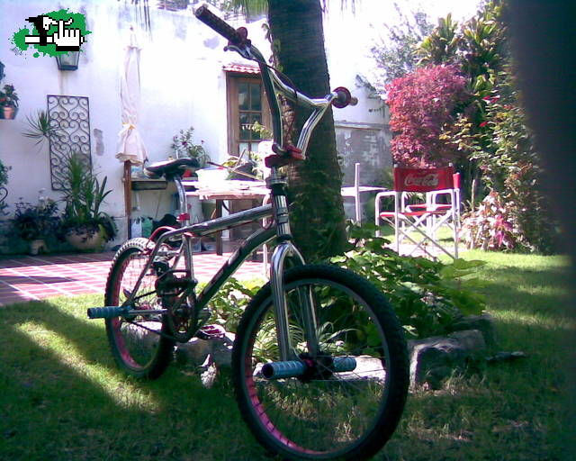 my bike