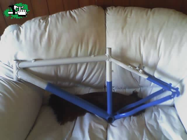 es un ZSC???ALGIEN QUE SEPA??