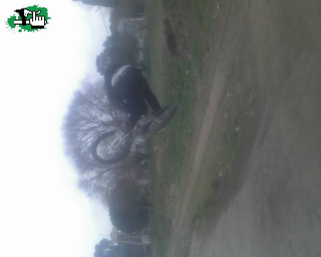 tomass en el mini