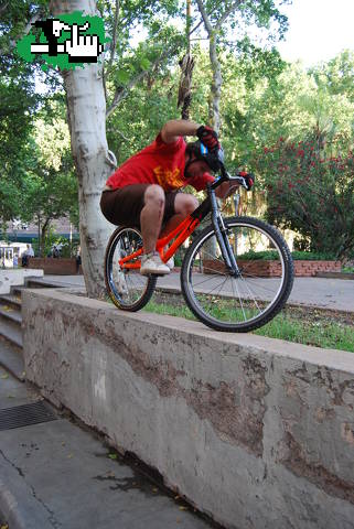 PONGAN FOTOS ANDANDO !