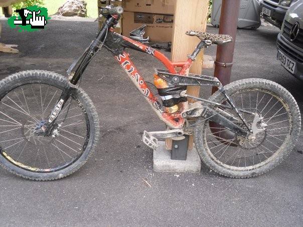 kONA ENCINTADA 2