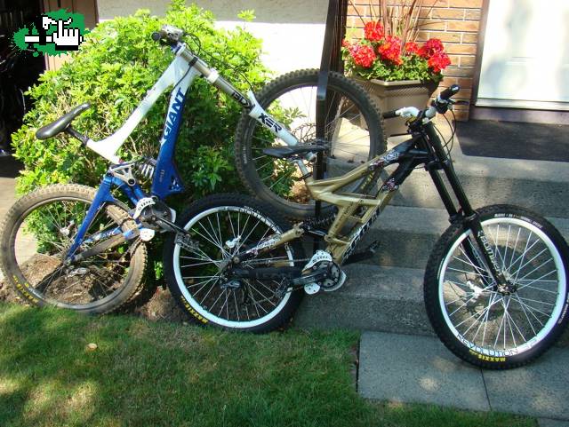 mis nuevas bikes...jaja ojalaaa