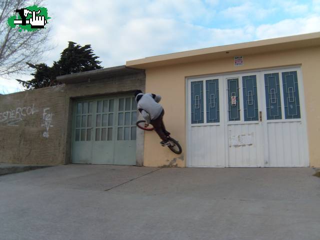 chicle wallride 