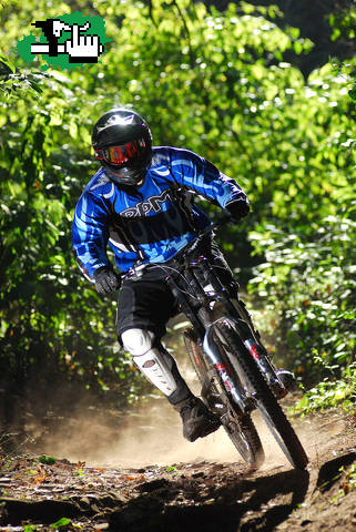 SEBASTIAN BUSTAMANTE
