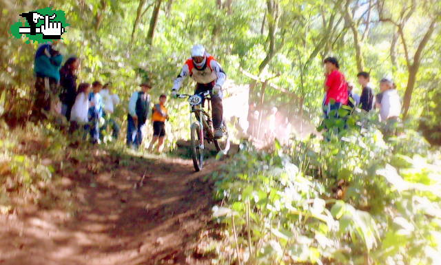 OPEN TUCUMAN Nº49
