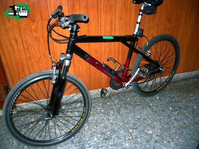 Mi hibrido