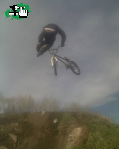 tallwhip  tomas en la isla