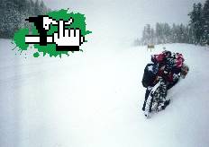 en la nieve