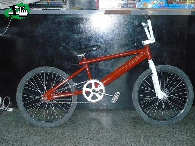 vendo ecos