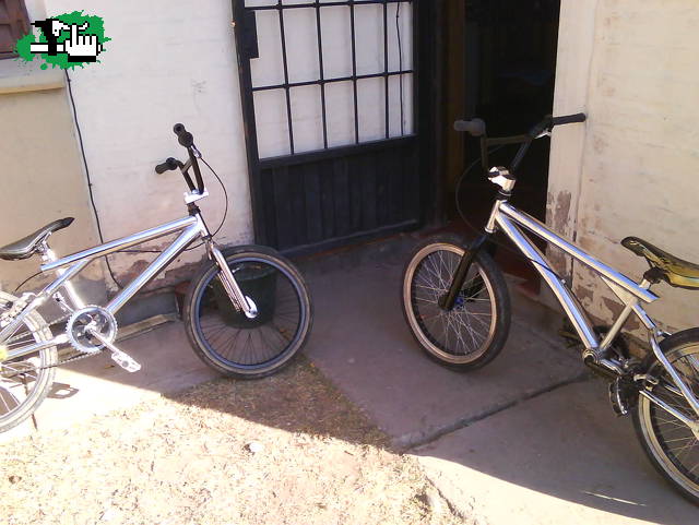 las bikes