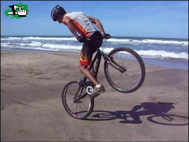 Back wheelie en Pinamar