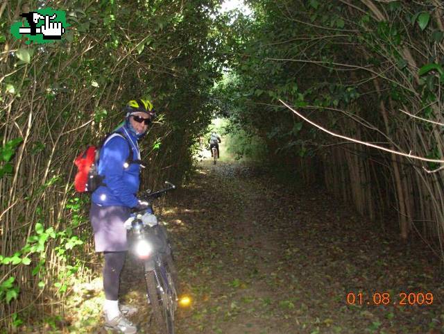 EL FINAL DEL TUNEL VEGETAL