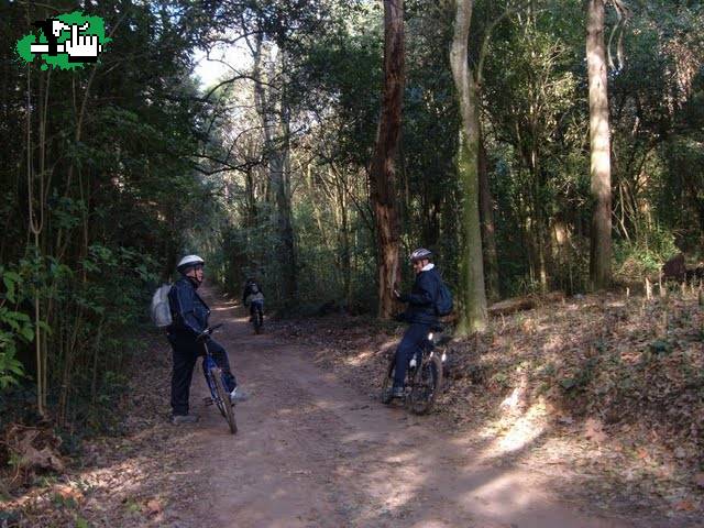 LOS CHIMAGOS DE LA CAPI & ARIEL ZIMA PARQUE PEREYRA 