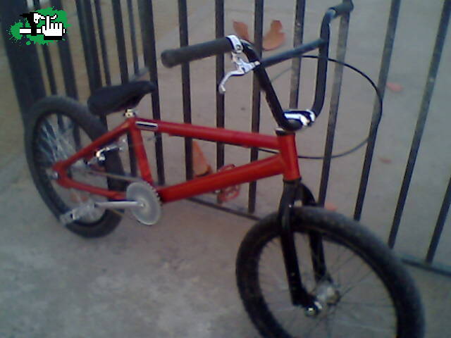bike chek actualizado