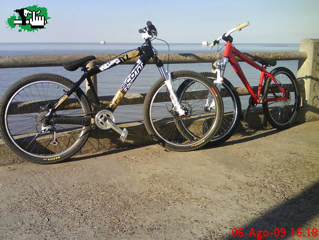Mis 2 bebes...!