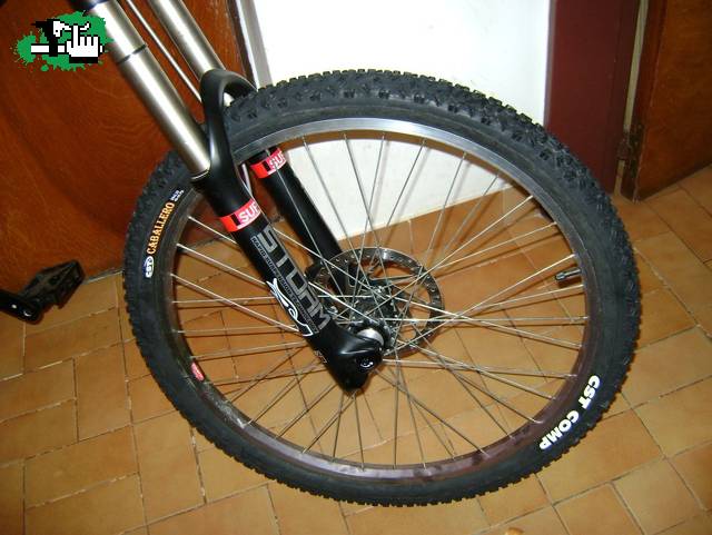 nuevos cauchos