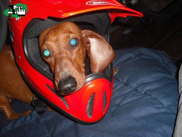 miren quien usa casco!