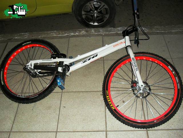 Z1 FORMOSA