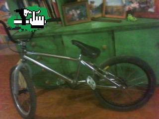 samty_14