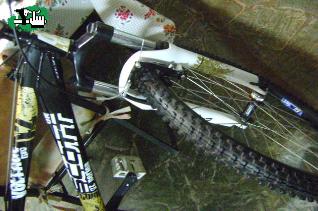 ZAPATOS PARA LA SCOTT