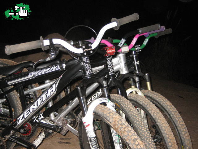 STG 3"