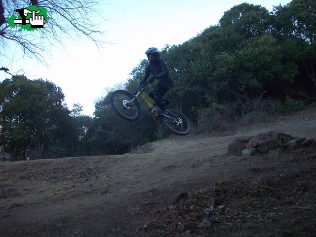 Goyo