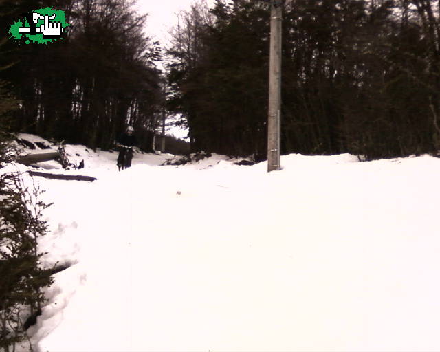 ushuaia snow bike