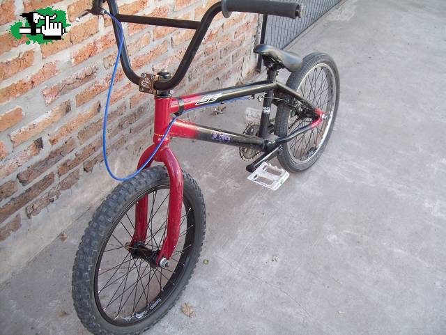 bike chek