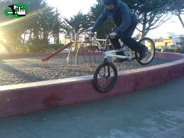totpick migue